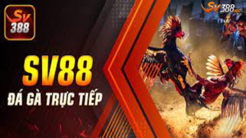 Các sản phẩm giải trí hot nhất tại trang chủ SV388