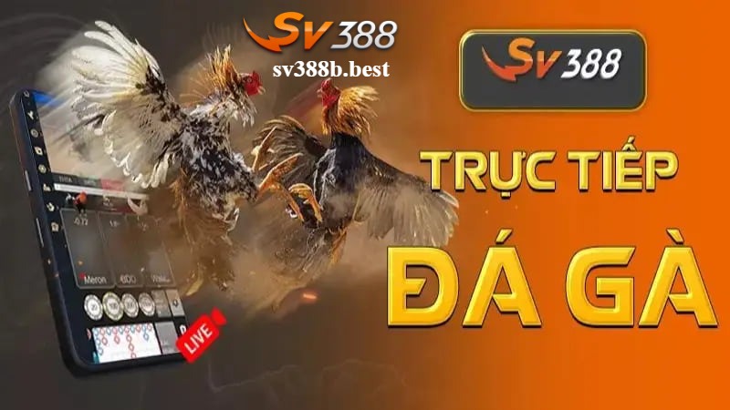 Giới thiệu về đá gà SV388