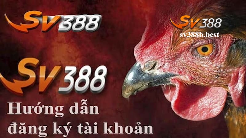 Các bước đăng ký thành viên SV388 chi tiết Các bước đăng ký thành viên SV388 chi tiết