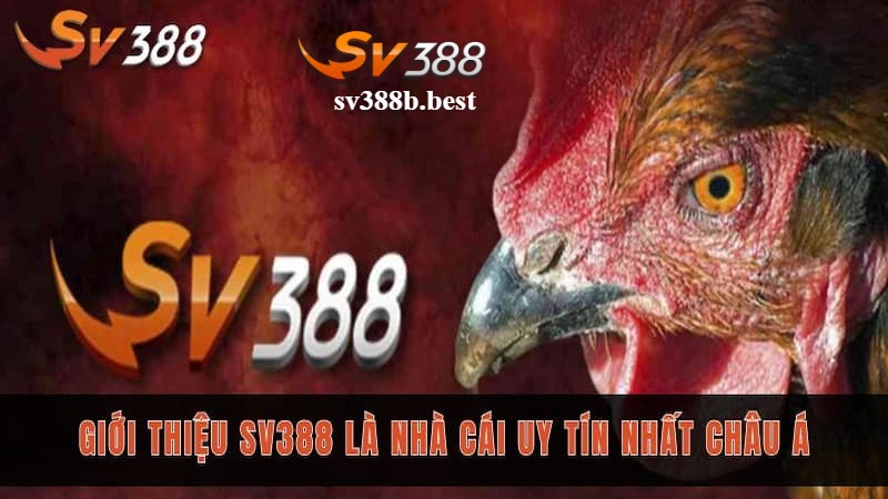 Tỷ lệ trả thưởng hấp dẫn Tỷ lệ trả thưởng hấp dẫn