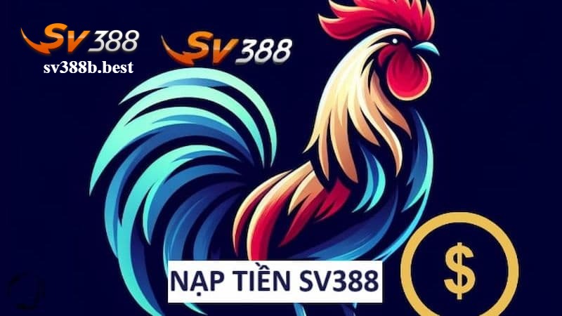 Giải đáp thắc mắc thường gặp khi nạp tiền SV388 Giải đáp thắc mắc thường gặp khi nạp tiền SV388