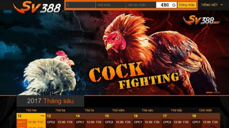 Những lý do nhà cái SV388 được yêu thích