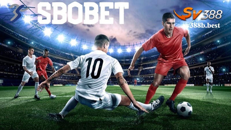 Các sản phẩm cá cược hấp dẫn tại sảnh Sbobet SV388 Các sản phẩm cá cược hấp dẫn tại sảnh Sbobet SV388